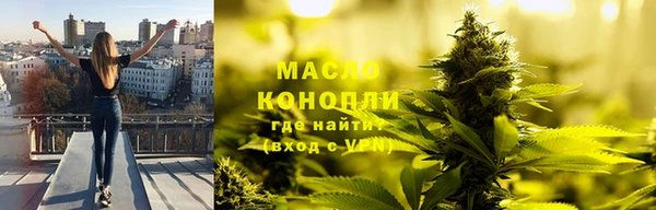 ешки Вяземский