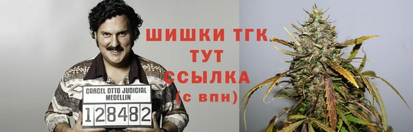 ешки Вяземский