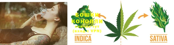 стаф Вязники