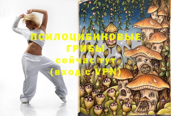стаф Вязники