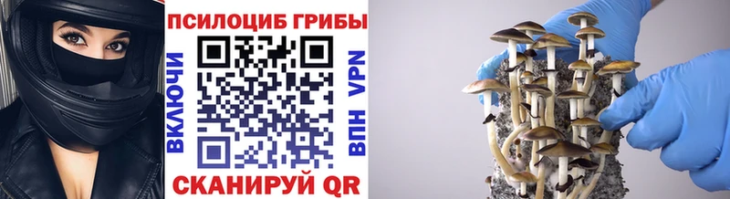 Псилоцибиновые грибы мицелий  Черепаново 